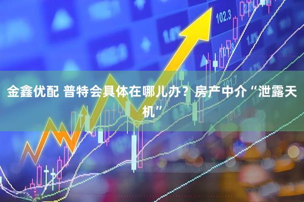 金鑫优配 普特会具体在哪儿办?房产中介“泄露天机”