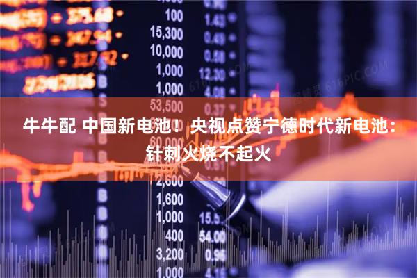 牛牛配 中国新电池！央视点赞宁德时代新电池：针刺火烧不起火